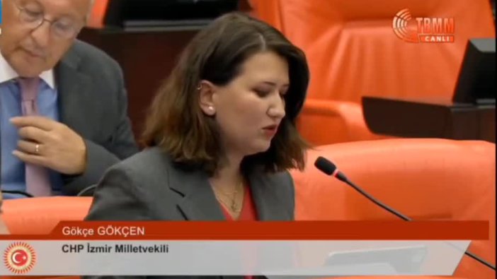 Gökçen'den tepki: İddianame kopyala-yapıştır mı?