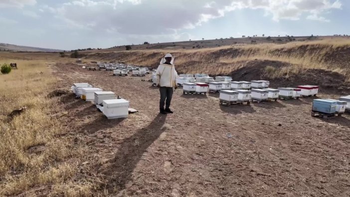 Yozgat’ta arıcılık sezonu açıldı: Çayıralan, üreticisini sevindirdi