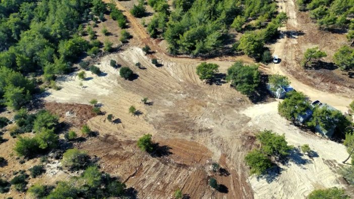 Mezitli'den sokak hayvanlarına doğal yaşam alanı müjdesi