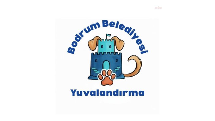 Bodrum'da yeni platform sayesinde sokak hayvanları yuvalanıyor