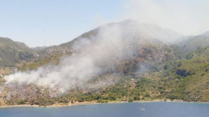 Marmaris'te makilik ve ormanlık alanda yangın