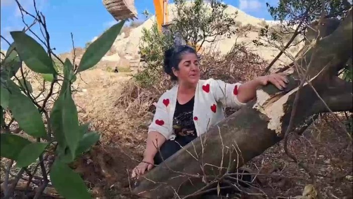 Hatay'da kamulaştırma krizi: Kepçeler ağaçları kesiyor