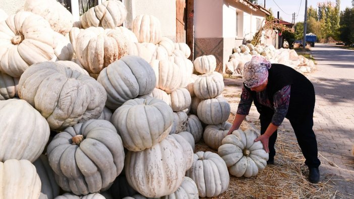 Kızılinler bal kabağı panayırı geliyor!