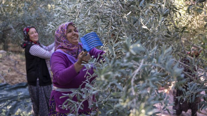 Mersin'de fidan destekleri toprakla buluştu