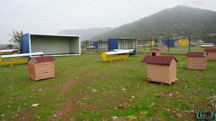 Turgutlu'da sokak hayvanları için yeni yaşam alanı oluşturuluyor