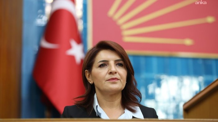 Gülcan Kış: Sendikal haklar fabrikada hayata geçirilmelidir