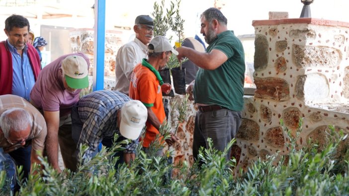 Alanya'da yangın mağdurlarına zeytin fidanı desteği