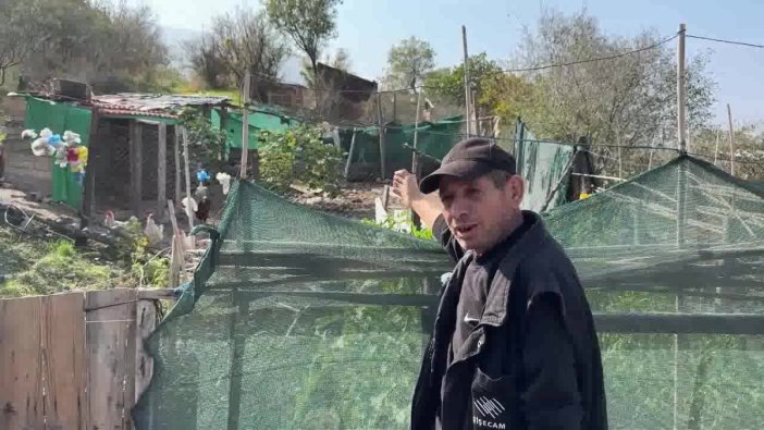 Şikayet sonrası hayvan yetiştirme yasağı talebi, köyde şok etkisi yarattı