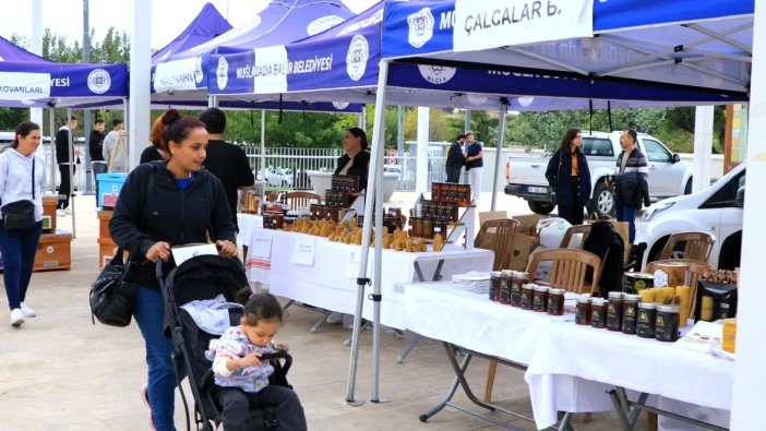 Muğla'da çam balı şenliğinde coşku dorukta