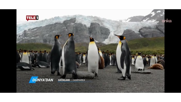 Kayyum atamasına sert tepki: 'Gerçeği öğrenme hakkı gasp edildi!'