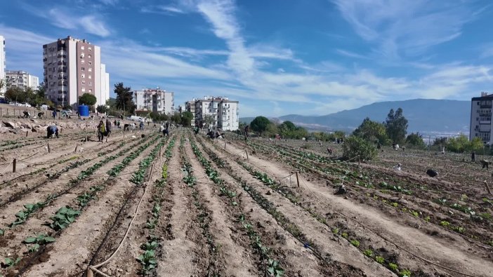 Kadınların gücüyle Bornova'nın tarımı gelişiyor