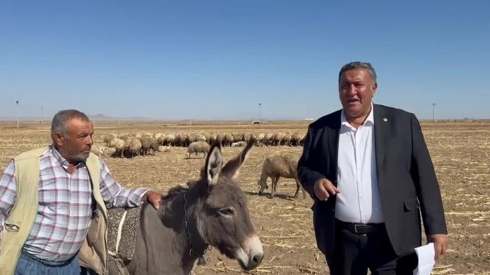 Hayvancılıkta geçim derdi: 'Bir inekle geçiniyordum, şimdi 20 inekle zorlanıyorum'