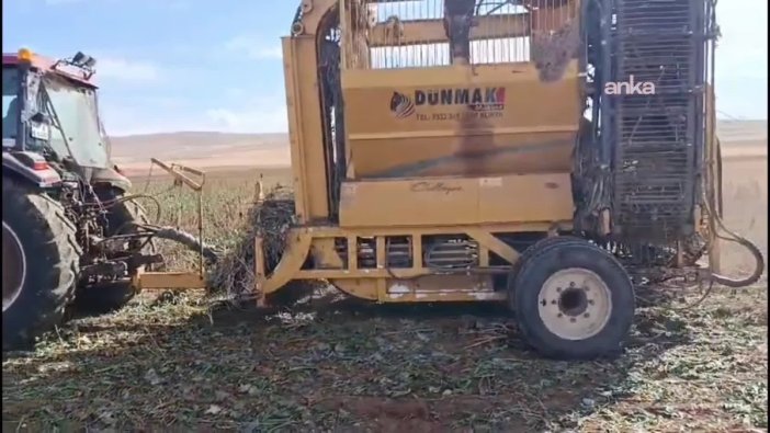 Darendeli üretici maliyetlere isyan etti: 'Pancarımızı sökme mücadelesi veriyoruz'