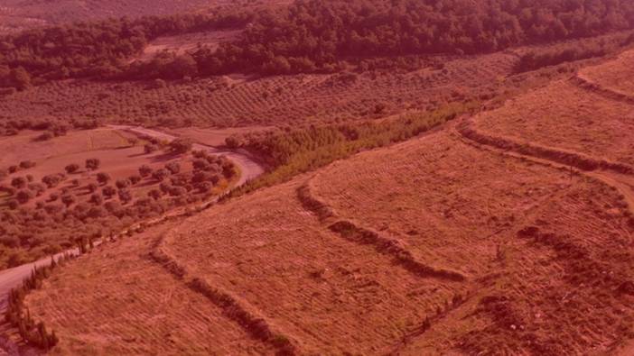 Orman arazisini arsa diye sattılar! Oyalamak için mahkeme açtılar
