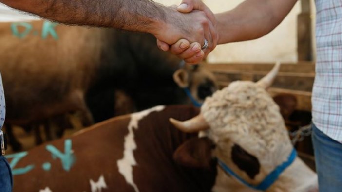 Kurban Bayramı ve öncesinde hayvan satış yerlerine yönelik önlemler belirlendi