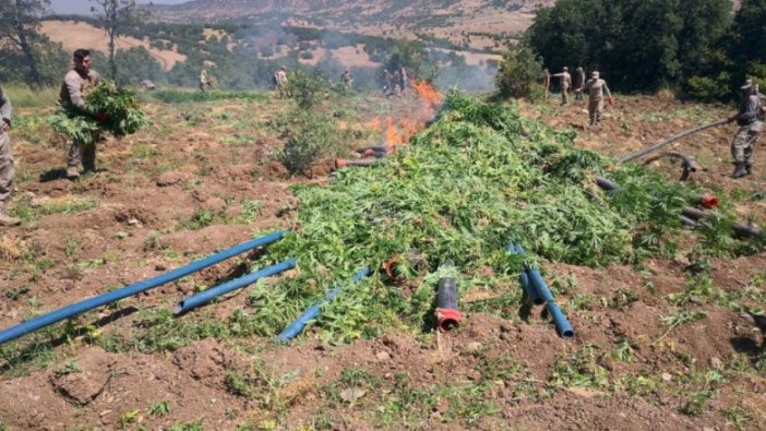 Diyarbakır'da dev operasyon