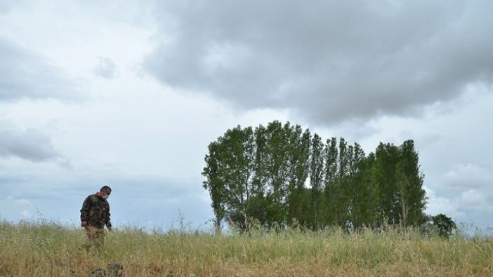 Çorum'da 'aslan' izi bulunamadı