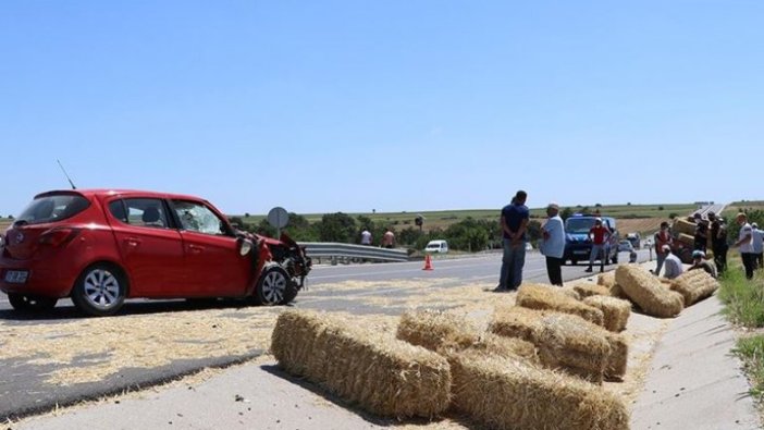 Edirne'de otomobile giren arı kazaya neden oldu