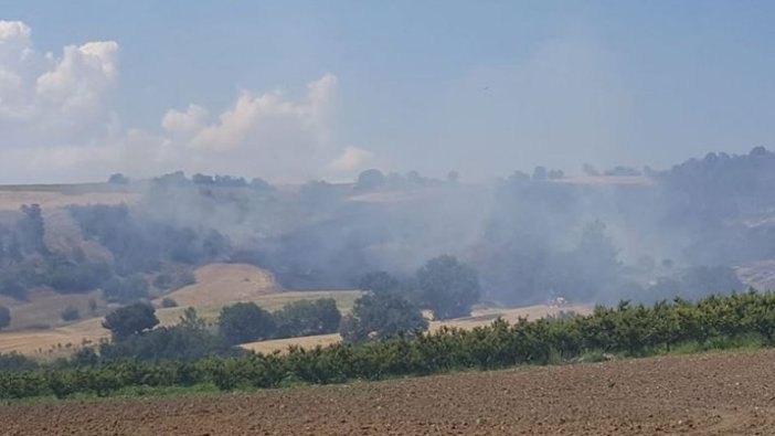 Çanakkale’de orman yangını
