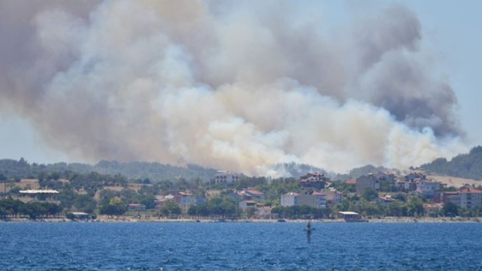 Çanakkale'de orman yangını