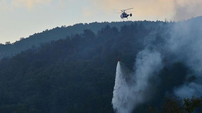 Çanakkale'deki orman yangını 19 saat sonra kontrol altına alındı
