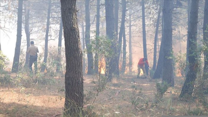 İstanbul'da Aydos Ormanı'ndaki yangın söndürüldü