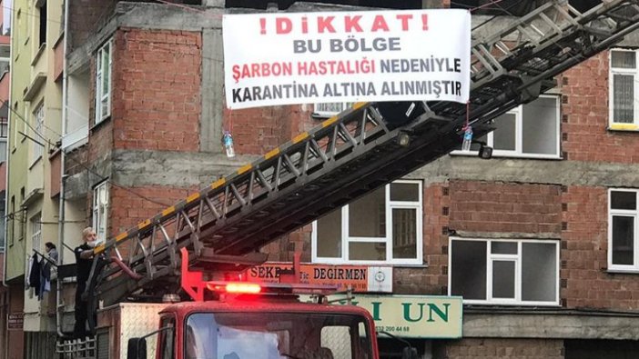 Trabzon'da şarbon karantinası