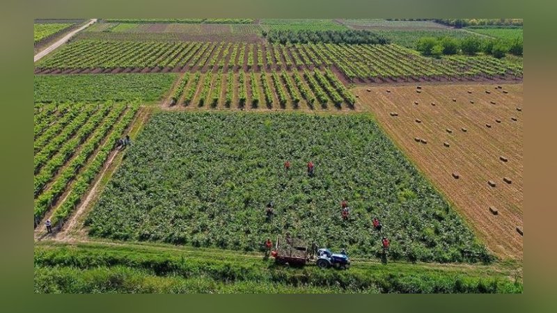 Çiftçi Kayıt Sistemi'ne başvuru süresi uzatıldı