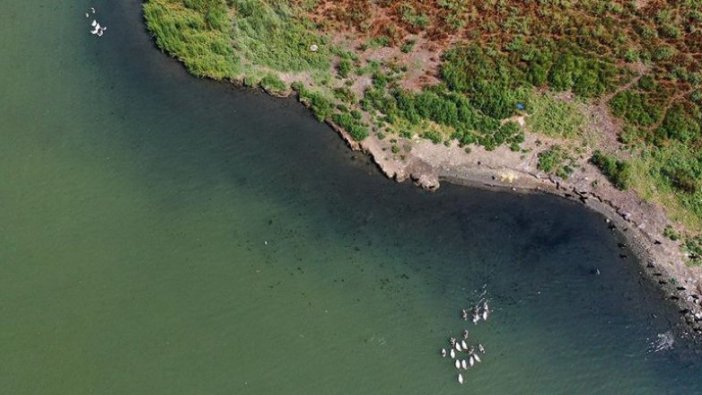Haliç'te suyun rengi değişti