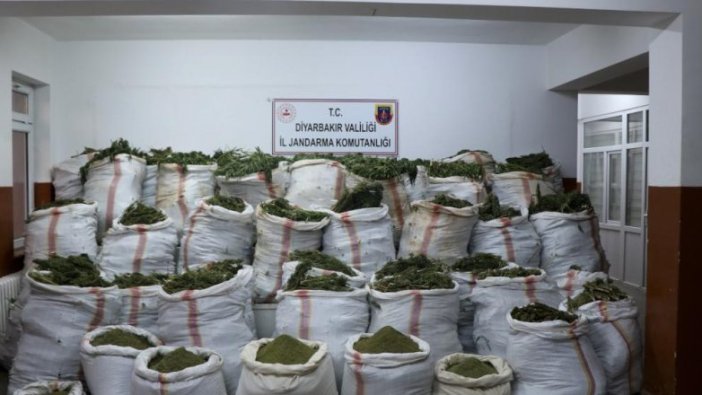 Diyarbakır'da ele geçirildi:  4 milyon 623 bin 280 kök