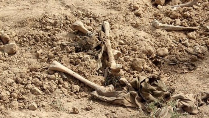 Japonya'nın Osaka kentindeki toplu mezar bulguları 1800'lerdeki bir salgına işaret ediyor