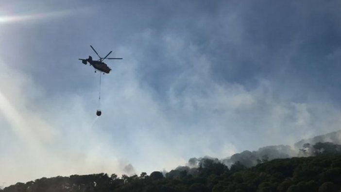 Maltepe'de ormanlık alanda yangın