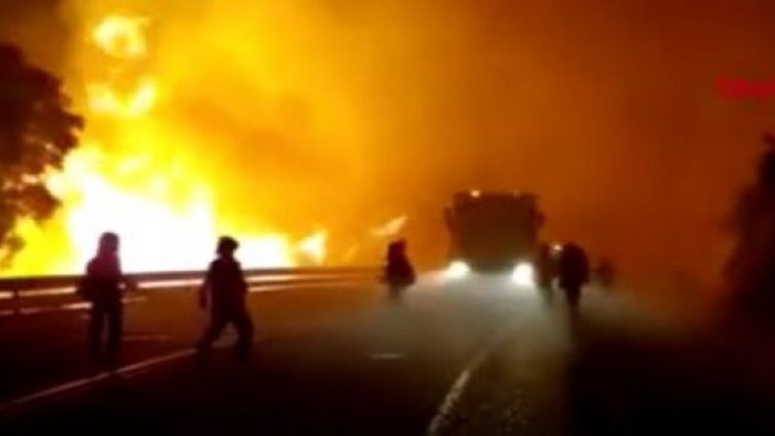 Orman cayır cayır yanıyor