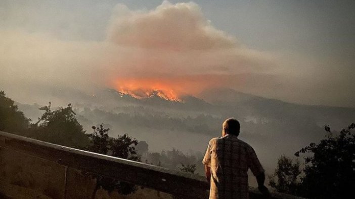 Ankara'daki orman yangını