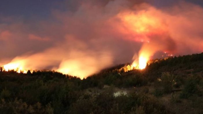 Kastamonu'daki orman yangını