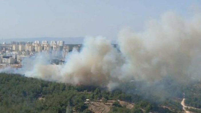 Buca'da orman yangını