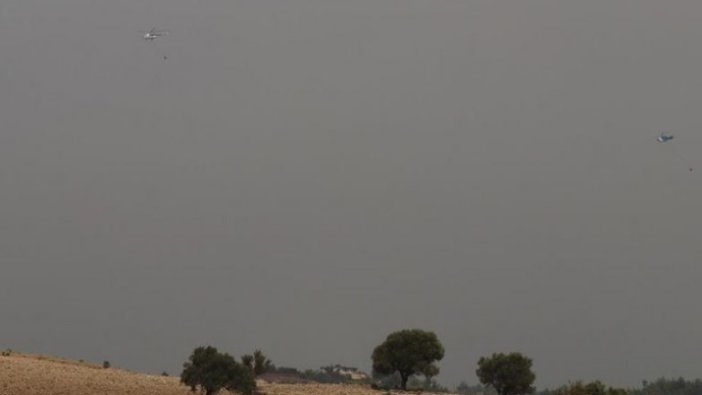 Hatay'daki orman yangınına havadan müdahaleye yeniden başlandı