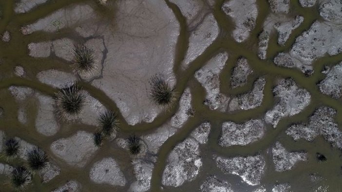 Kızılırmak Deltası'nda kuraklık tehdidi