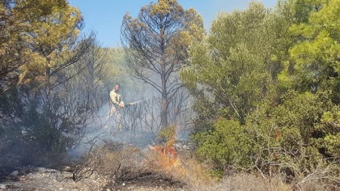 İzmir'de orman yangını çıktı