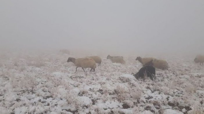 Van'ın Başkale ilçesinde yüksek kesimlere kar yağdı