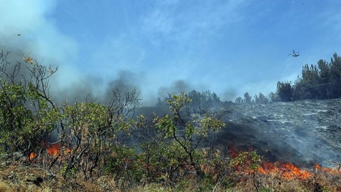 Kahramanmaraş'taki orman yangını sürüyor