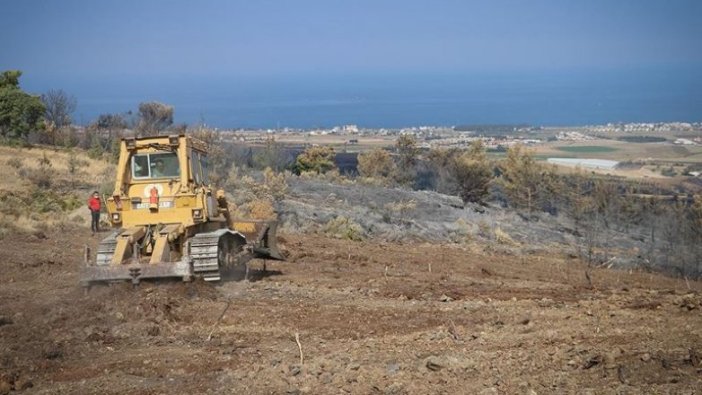 Hatay'da yanan alanlar fidan dikimine hazırlanıyor