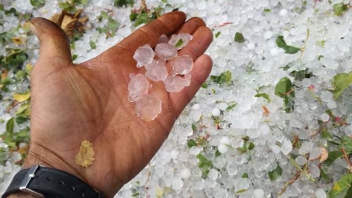 Antalya'da dolu yağışı meyve ağaçlarına zarar verdi