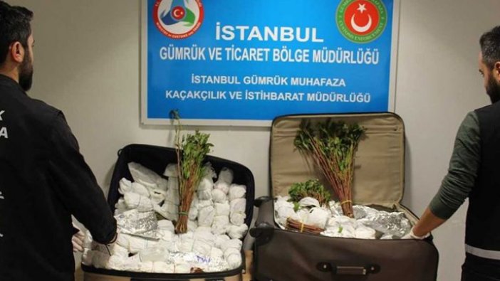 İstanbul Havalimanı'nda 'khat' cinsi uyuşturucu ele geçirildi