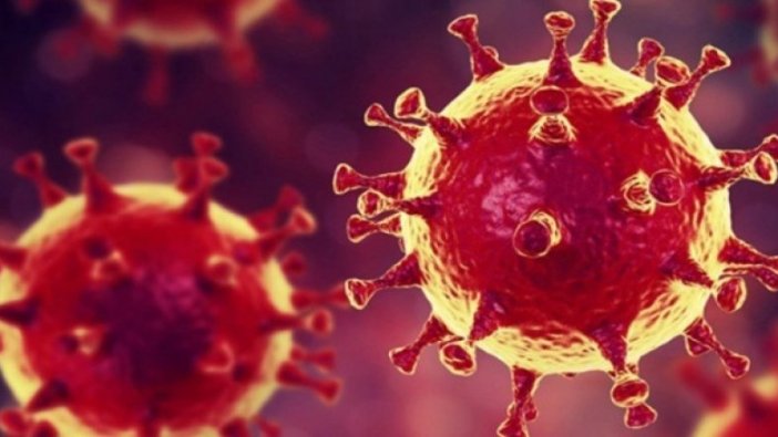 ABD'de Covid-19'dan ölenlerin sayısı 234 bini geçti