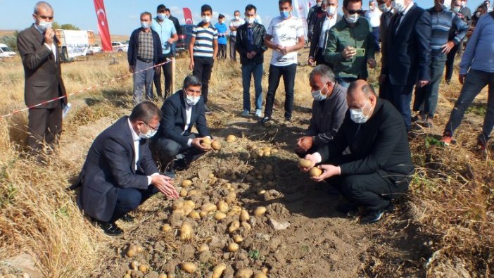 Yozgat'ta 8 çeşit yerli patatesin hasadı yapıldı