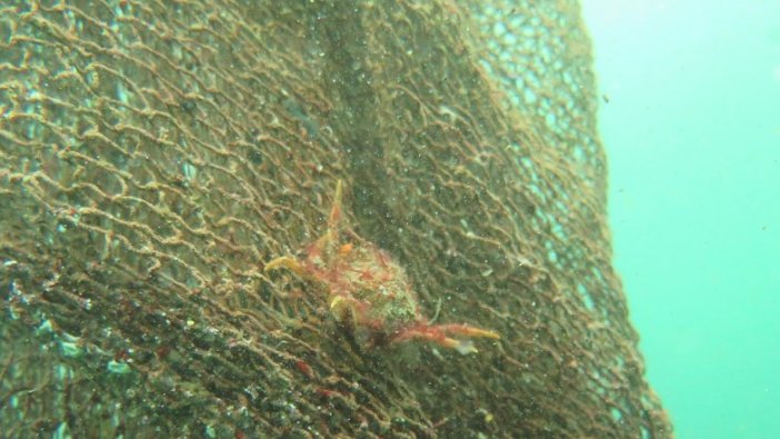 Çanakkale Boğazı hayalet ağlardan kurtarıldı