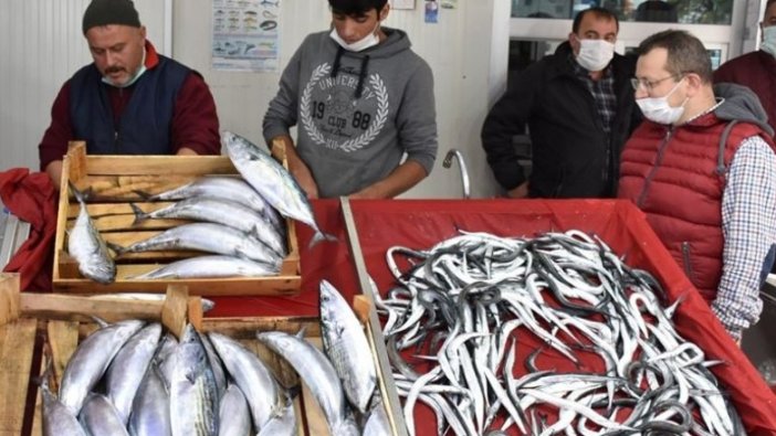 Palamudun tanesi 60 liraya yükseldi