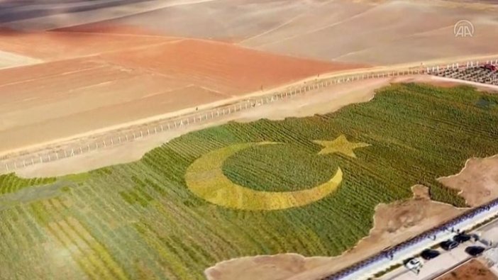 Bitkili Türkiye haritası uçaklardan görülebilecek