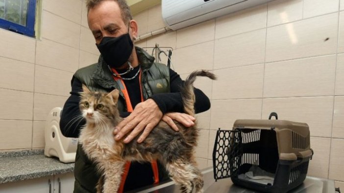 Enkazdan çıkarılan kedilerden birini Haluk Levent sahiplendi